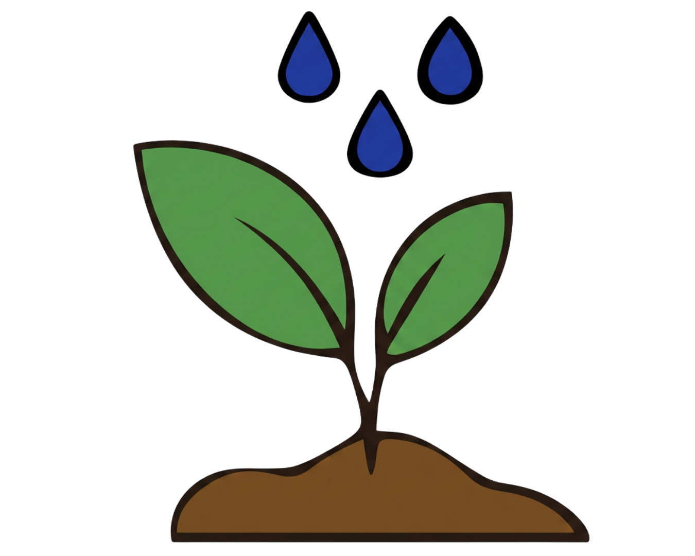 Huerta Comunitaria